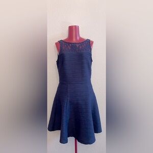Taylor Navy Blue Dress with Lace Accents